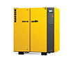 BSD 60 Model 60 Horsepower (hp) Nominal Motor Output Standard Version Rotary Screw Air Compressor